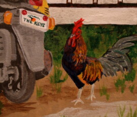THE KEYS ROOSTER- I took this photo while in the Keys and I just had to paint it.