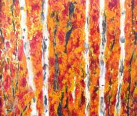 ASPEN IN THE FALL-The colors of fall are wonderful and the trunks of the Aspen up against the colored leaves are a fabulous juxtaposition